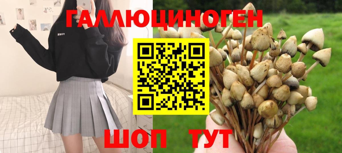 Галлюциногенные грибы Magic Shrooms Минусинск