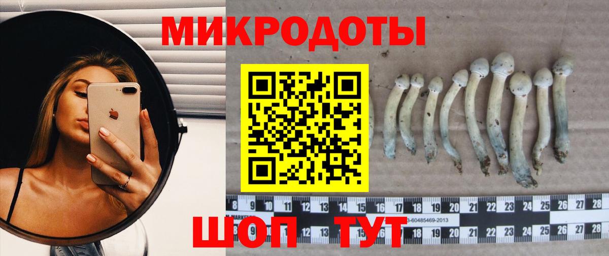 Галлюциногенные грибы прущие грибы  Вход с VPN  Минусинск 
